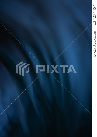Blurred photo of strange misty Halloween forest background. Blurry mysterious Halloween horror backdrop. Blurred photo of strange misty Halloween forest background. Blurry mysterious Halloween horror backdrop. 134274454