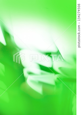 Green  defocused texture for your design. Green  blurry  background. 134274508