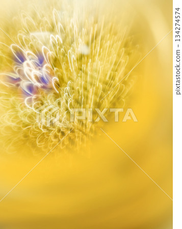 Smooth light gold honey waves lines abstract background with bokeh Smooth light gold honey waves lines abstract background with bokeh 134274574