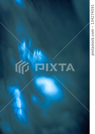 Blurred photo of strange misty Halloween forest background. Blurry mysterious Halloween horror backdrop. 134274591