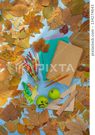 Scenes from old vintage school. Concept of returning to vintage school captured in a top view flat lay. Scenes from old vintage school. Concept of returning to vintage school captured in a top view flat lay. 134274643