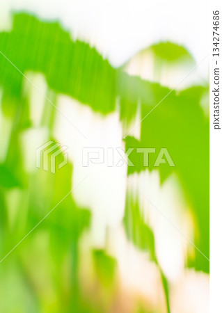 Green blurred bokeh background with motion effect. 134274686