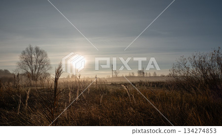 misty dawn field with low sun casting soft golden light across frosttipped grasses, lone bare tree silhouette left, distant smokestacks on horizon, thin veil of fog, tranquil rural atmosphere, cool misty dawn field with low sun casting soft golden light across frosttipped grasses, lone bare tree silhouette left, distant smokestacks on horizon, thin veil of fog, tranquil rural atmosphere, cool 134274853