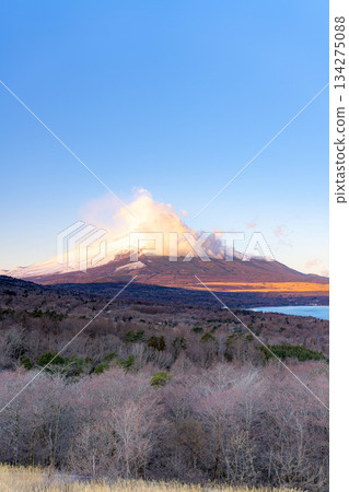 [富士山素材] 從山中湖明神山觀景台觀賞雲霧繚繞的富士山日出 [山梨縣] 134275088