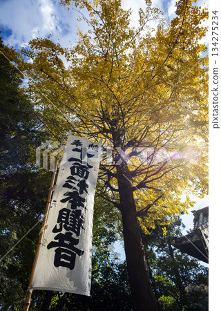 鎌倉 251128 杉本寺 6 黃葉 134275234