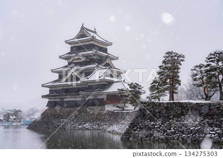 【城堡素材】雪中的松本城【長野縣】 【城堡素材】雪中的松本城【長野縣】 134275303