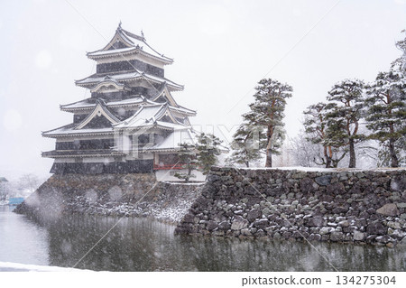 [Castle Material] Matsumoto Castle in the Snowy Winter [Nagano Prefecture] 134275304