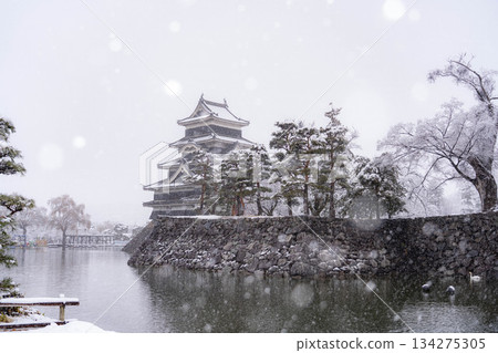 【城堡素材】雪中的松本城【長野縣】 【城堡素材】雪中的松本城【長野縣】 134275305