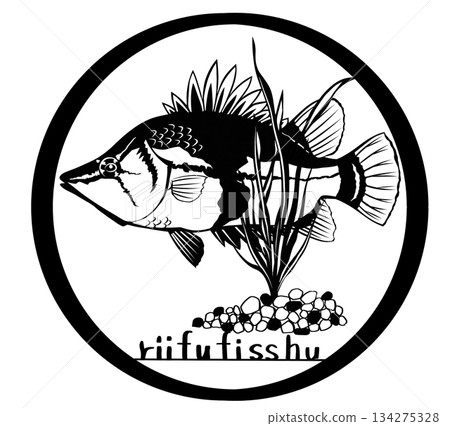 Cute fish, Amazon mimic fish, leaf fish, paper cut illustration Cute fish, Amazon mimic fish, leaf fish, paper cut illustration 134275328
