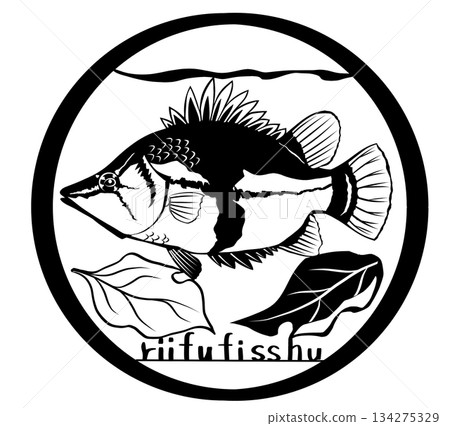 亞馬遜擬態礁魚紙剪圖 亞馬遜擬態礁魚紙剪圖 134275329