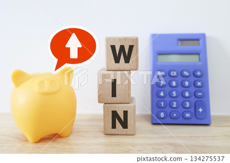 The WIN block and piggy bank show increased savings and successful asset formation. 134275537