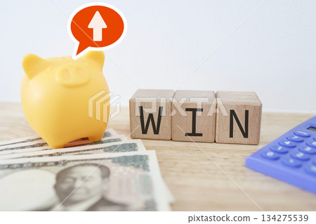 The WIN block and piggy bank show increased savings and successful asset formation. 134275539