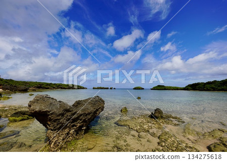 Japanese landscape Japanese landscape 134275618
