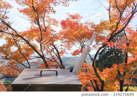Autumn leaves and water cannon Autumn leaves and water cannon 134275699