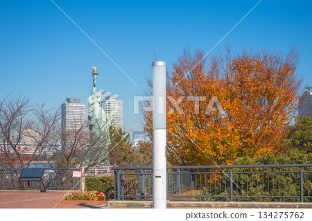 街道兩旁和自由女神像旁，秋天的櫸樹枝繁葉茂。 134275762