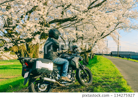 春天的櫻花和摩托車 春天的櫻花和摩托車 134275927