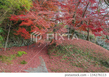 京都府笠木町的落楓葉 京都府笠木町的落楓葉 134276113