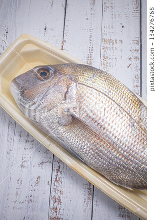 來自廣島的野生紅鯛魚 來自廣島的野生紅鯛魚 134276768