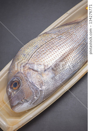 Wild red sea bream from Hiroshima Wild red sea bream from Hiroshima 134276771