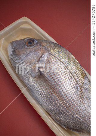 來自廣島的野生紅鯛魚 來自廣島的野生紅鯛魚 134276783