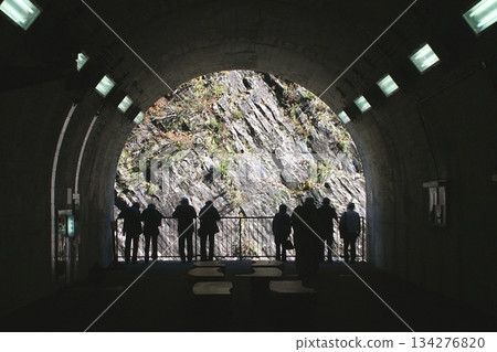 Columnar joints [Tokamachi City, Niigata Prefecture] 134276820