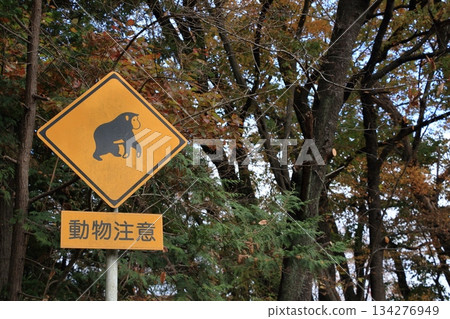 動物警告路標 134276949