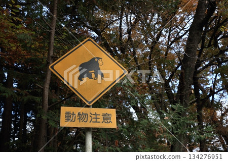 動物警告路標 134276951