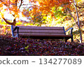 公園裡的長椅上有美麗的秋葉 134277089
