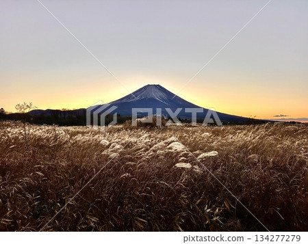 黎明時分的富士山 134277279