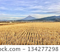 Tokaido Shinkansen and Mount Fuji 134277298
