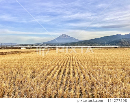 東海道新幹線與富士山 東海道新幹線與富士山 134277298