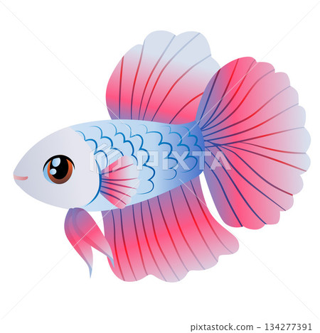 cute bright betta fish cartoon character cute bright betta fish cartoon character 134277391