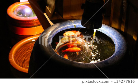 陶瓷水盆和金魚在燈光的襯托下熠熠生輝——營造出輕鬆愜意的日式空間 陶瓷水盆和金魚在燈光的襯托下熠熠生輝——營造出輕鬆愜意的日式空間 134277616