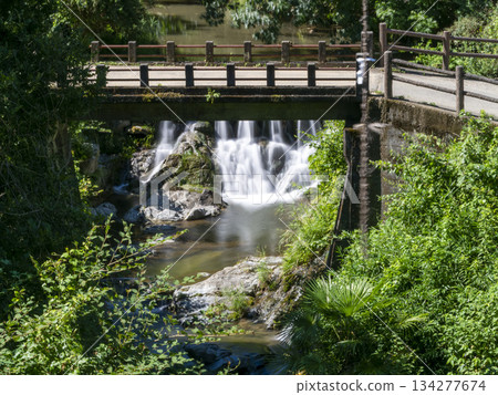 Asuka River flowing through Asuka Village 134277674