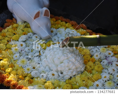 笠間稻荷神社風景 笠間稻荷神社風景 134277681
