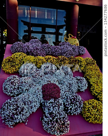 笠間稻荷神社風景 134277686