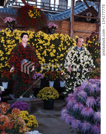 笠間稻荷神社菊花祭的景象 134277778