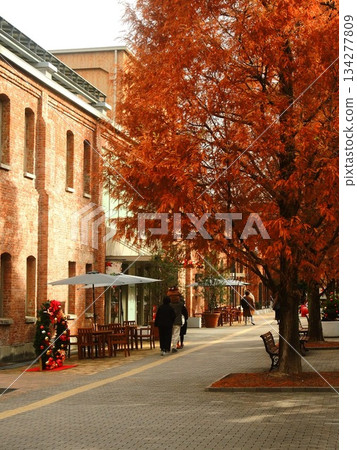 Christmas on the Streets 134277809