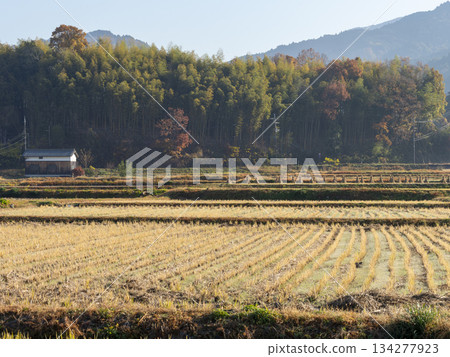 Asuka Village: Winter rural scenery Asuka Village: Winter rural scenery 134277923