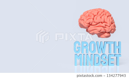 Creative Brain and Growth Mindset Concept 3d render. Creative Brain and Growth Mindset Concept 3d render. 134277943