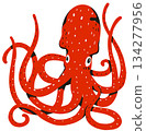 Red purple octopus hand draw simplified illustration pop art style marine sea animal life 134277956