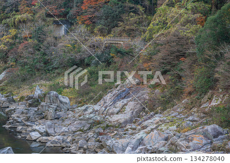 京都府笠木町木津川初冬景色 134278040