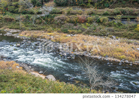 京都府笠木町木津川初冬景色 134278047