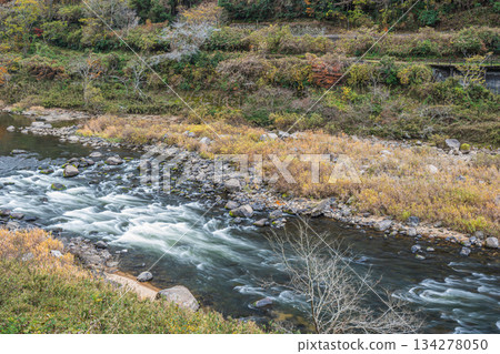 京都府笠木町木津川初冬景色 134278050