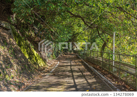 Promenade along the Kizu River, Kasagicho Hiking Course, Kasagicho, Kyoto Prefecture Promenade along the Kizu River, Kasagicho Hiking Course, Kasagicho, Kyoto Prefecture 134278069