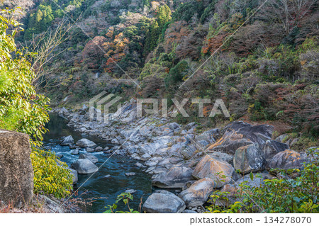 京都府笠木町木津川初冬景色 134278070