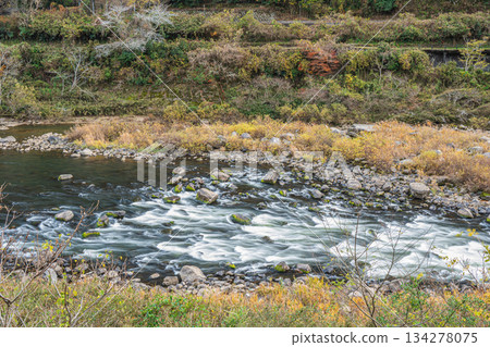 京都府笠木町木津川初冬景色 京都府笠木町木津川初冬景色 134278075
