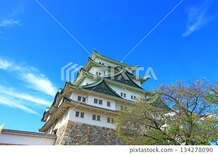 愛知縣名古屋市名古屋城景觀 134278090