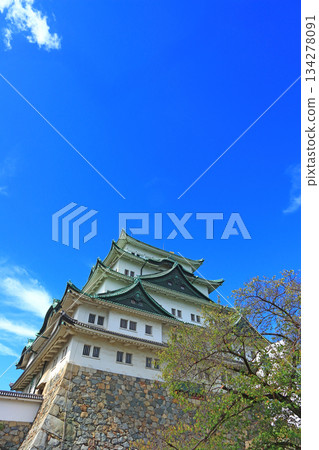 愛知縣名古屋市名古屋城景觀 134278091