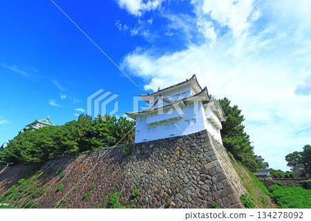 愛知縣名古屋市名古屋城景觀 134278092